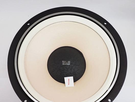 探索34UM79M的功能和性能特点（全面解析超宽曲面显示器34UM79M，带你体验沉浸式视觉盛宴）