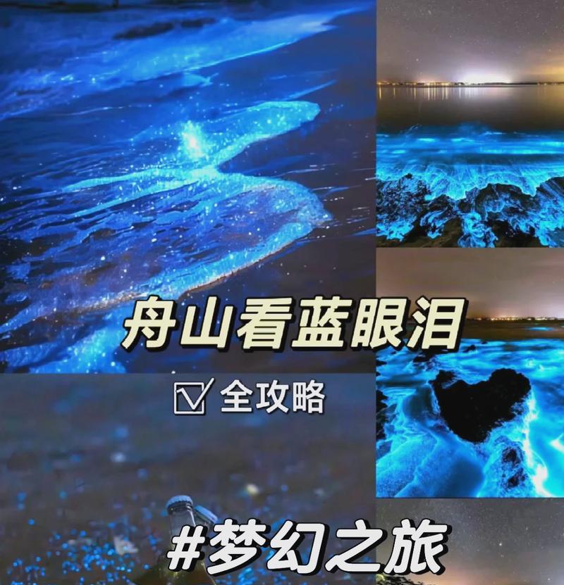AMDA45300（性能卓越，适合各种任务）