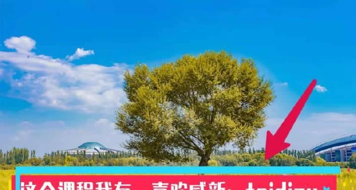 以无秘怎么样可以私聊？（探索无秘私聊功能，畅享一对一交流体验）