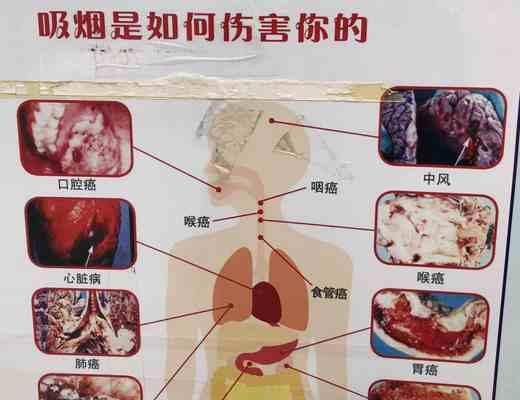 电子烟安全指南（保障你的健康与安全）