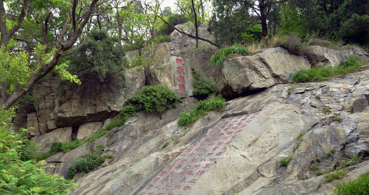 泰山在线（探索泰山在线，开启智慧学习之旅）