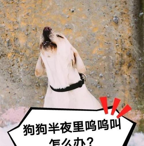 解决平板电脑错误651的方法（快速修复平板电脑错误651的有效步骤）