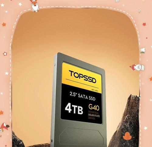 SSD使用教程（全面了解SSD及其应用场景，让你的计算机飞一般的快）